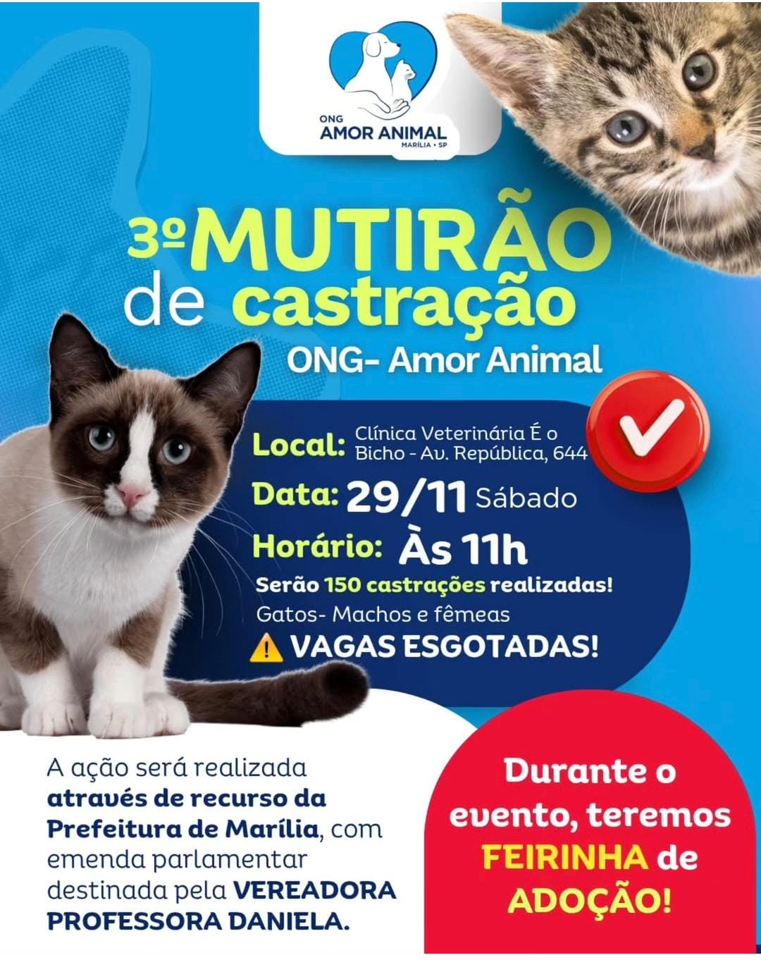Notícia: 3"  Mutirão de Castração - Clinica É O Bicho